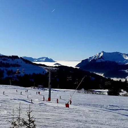 Les Gets, Centre Vieux Village, T2 L'eden * Les Gets